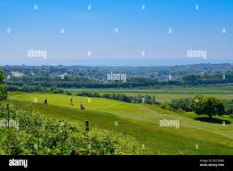 Image result for West Hove Golf Club