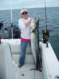 Image result for Scomberomorus cavalla