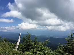 Attēlu rezultāti vaicājumam “Ena montana”