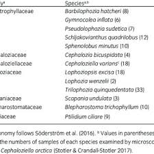 Attēlu rezultāti vaicājumam “Trilophozia quinquedentata”