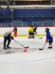 Image result for Sheffield Wildcats Rink Hockey and Roller Skating Club