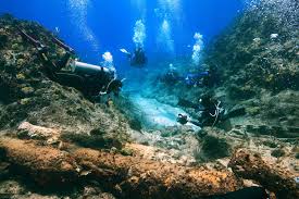 Image result for TAL Divers