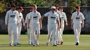 Image result for Long Sutton Cricket Club
