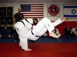 Image result for Epsom and Leatherhead Martial Arts