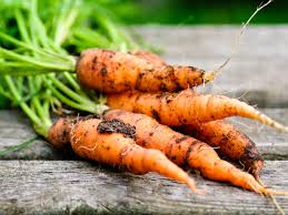 Image result for Möhren