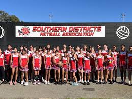 Image result for Southside Netball Club