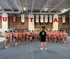 Image result for Carterton Gymnastics Club