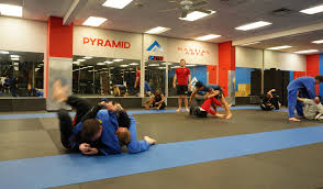 Image result for Pyramid martial arts