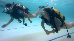 Image result for York University Sub Aqua Club
