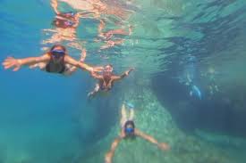 Image result for St. Albans Snorkelling Club (SASC)