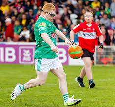 Image result for Rostrevor Hurling Club