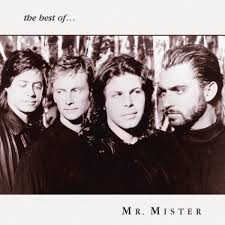 Image result for mister