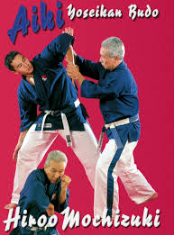 Image result for Yoseikan Budo England