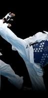 Image result for National Forest Taekwon-do