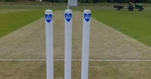 Image result for Ingatestone & Fryerning Cricket Club