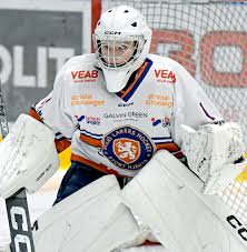 Kuvahaun tulos haulle hedvig