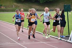 Image result for Annadale Striders Ac
