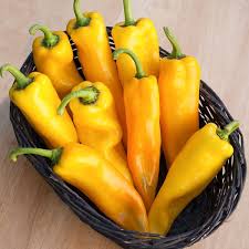 Afbeeldingsresultaat voor baby yellow sweet pepper
