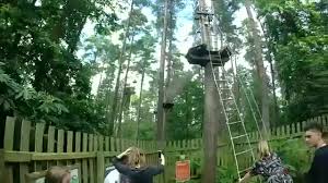 Image result for Go Ape! Alice Holt