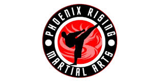 Image result for Phoenix Martial Arts