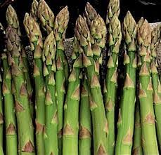 Attēlu rezultāti vaicājumam “Asparagus officinalis”