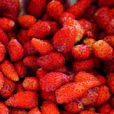 Image result for Fragaria vesca