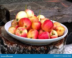 Attēlu rezultāti vaicājumam “Malus prunifolia fruit”