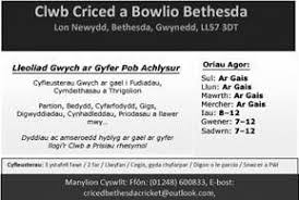 Image result for Clwb Criced A Bowlio Bethesda