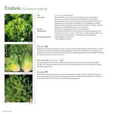 Image result for Endivie