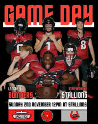 Image result for Staffordshire Stallions