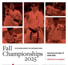 Image result for Blackpool Budokan Martial Arts