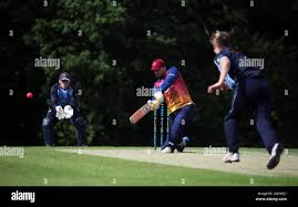 Image result for Bronwydd Cricket Club