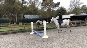 Image result for Elstead Riding Club