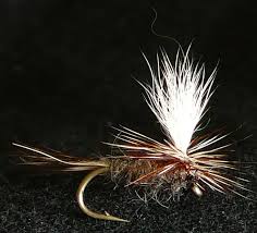 Image result for Dulverton Angling Association