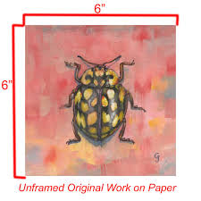 Attēlu rezultāti vaicājumam “Sospita vigintiguttata”