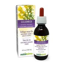 Attēlu rezultāti vaicājumam “Solidago virgaurea”