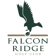 Image result for Falcon Sa Club