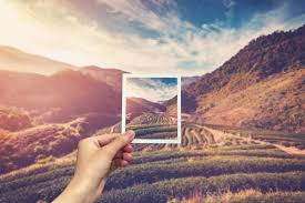 Image result for perspective photography