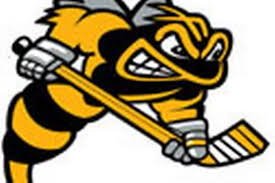 Image result for Chelmsford Chieftains