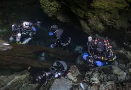 Image result for Headstream Divers