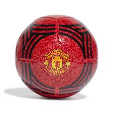 Image result for Manchester United Football Club