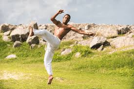 Image result for Brazilian-martial arts