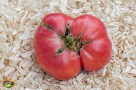 Afbeeldingsresultaat voor marizol purple tomato