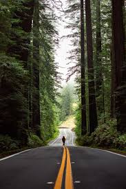 Image result for perspective photography