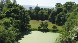 Image result for Carrickfergus Golf Club