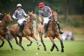 Image result for Cowdray Park Polo Club