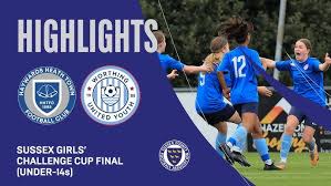 Image result for Haywards Heath Town Ladies Football Club
