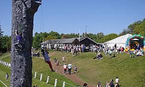 Image result for Caldy Cricket Club