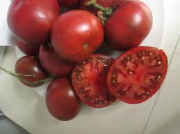 Afbeeldingsresultaat voor black elephant tomato