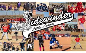 Image result for Sidewinders Baseball Club